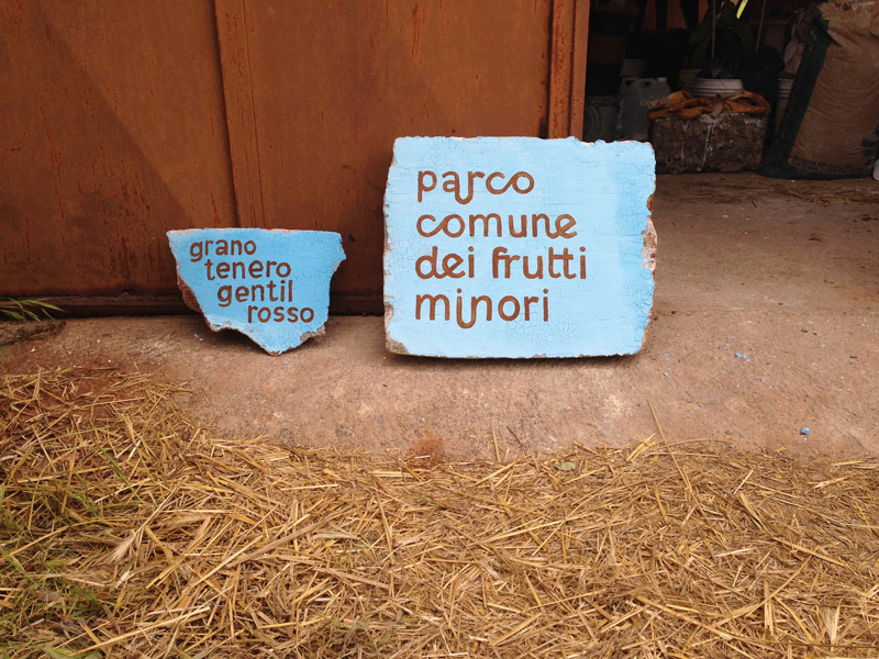 parco comune dei frutti minori