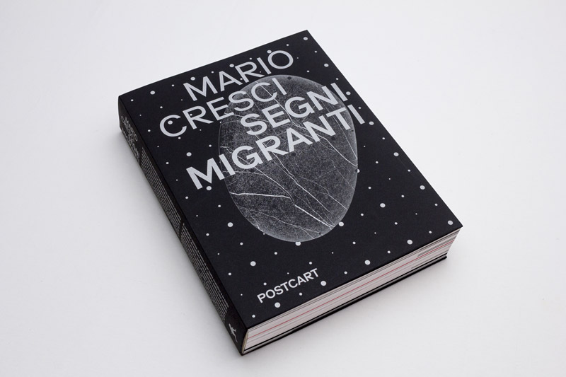 Copertina Segni migranti